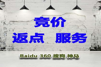 电商SEM推广案例解析